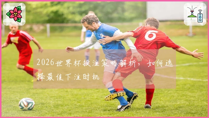 2026世界杯投注策略解析，如何选择最佳下注时机