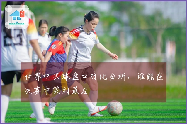 世界杯买球盘口对比分析，谁能在决赛中笑到最后