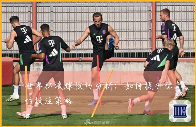 世界杯滚球技巧分析：如何提升你的投注策略