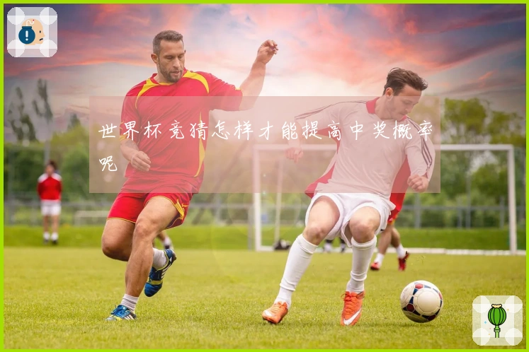 世界杯竞猜怎样才能提高中奖概率呢