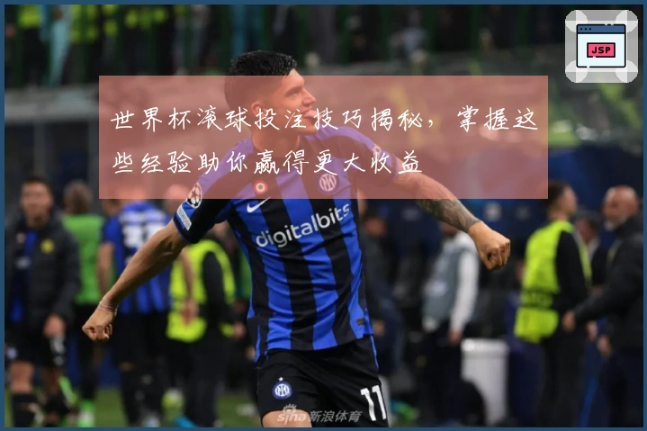 世界杯滚球投注技巧揭秘，掌握这些经验助你赢得更大收益