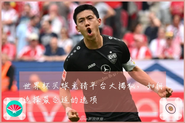 世界杯买球竞猜平台大揭秘，如何选择最合适的选项
