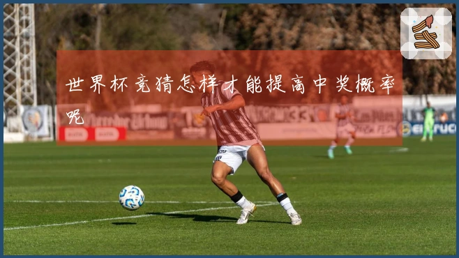 世界杯竞猜怎样才能提高中奖概率呢