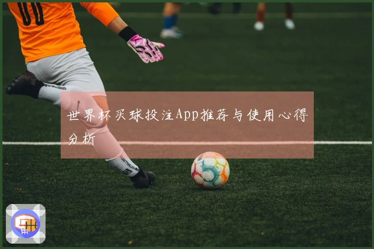 世界杯买球投注App推荐与使用心得分析