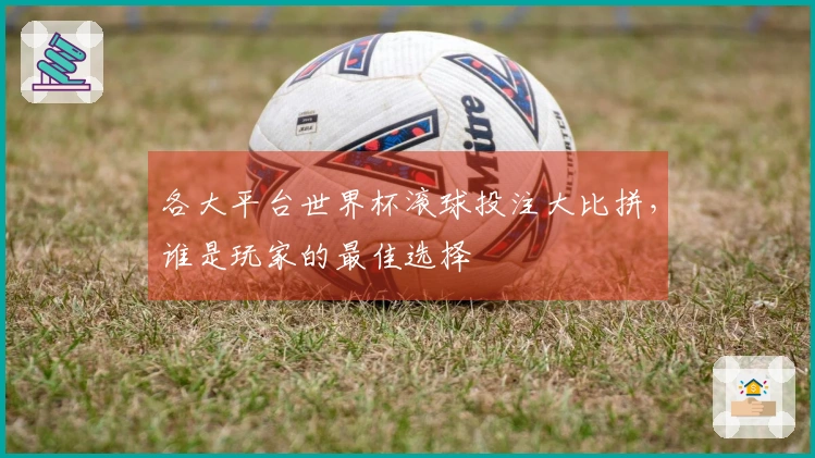 各大平台世界杯滚球投注大比拼,谁是玩家的最佳选择