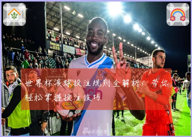 世界杯滚球投注规则全解析,带你轻松掌握投注技巧