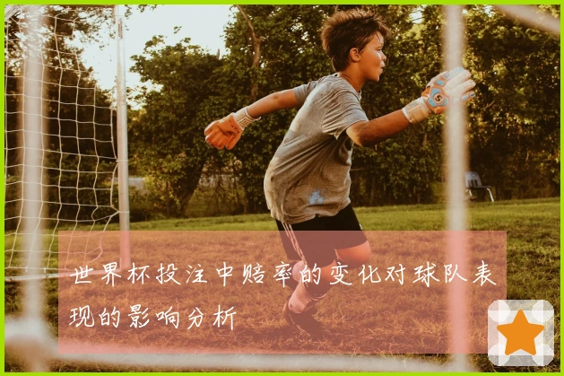 世界杯投注中赔率的变化对球队表现的影响分析