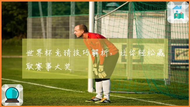 世界杯竞猜技巧解析,让你轻松赢取赛事大奖