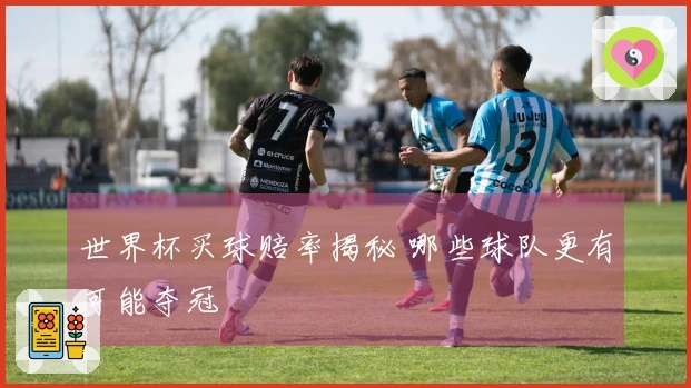 世界杯买球赔率揭秘 哪些球队更有可能夺冠