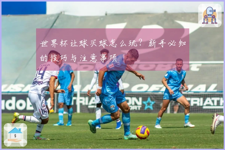 世界杯让球买球怎么玩？新手必知的技巧与注意事项