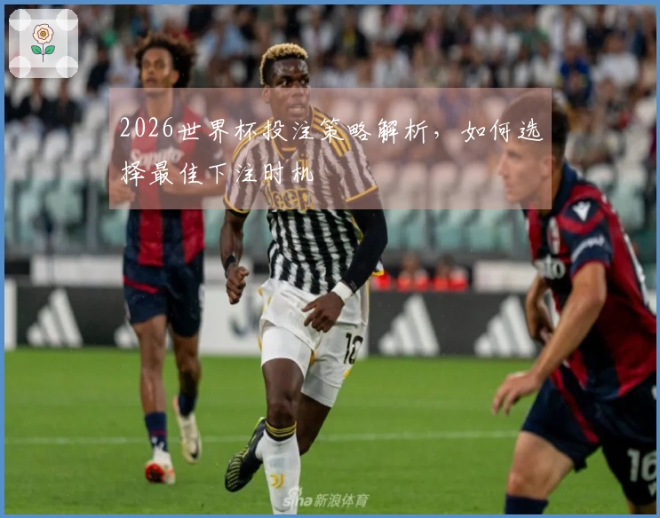 2026世界杯投注策略解析，如何选择最佳下注时机