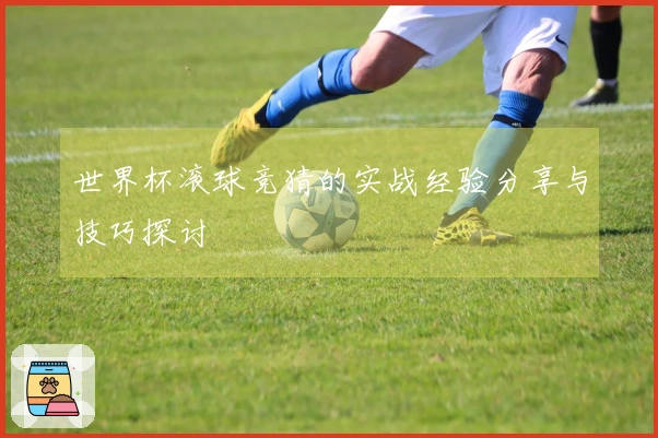 世界杯滚球竞猜的实战经验分享与技巧探讨
