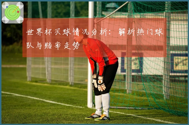 世界杯买球情况分析:解析热门球队与赔率走势