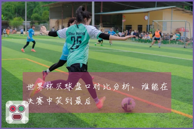 世界杯买球盘口对比分析,谁能在决赛中笑到最后