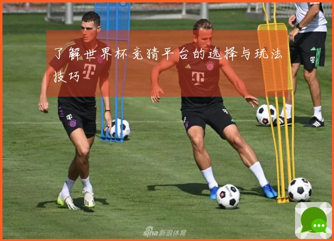 了解世界杯竞猜平台的选择与玩法技巧