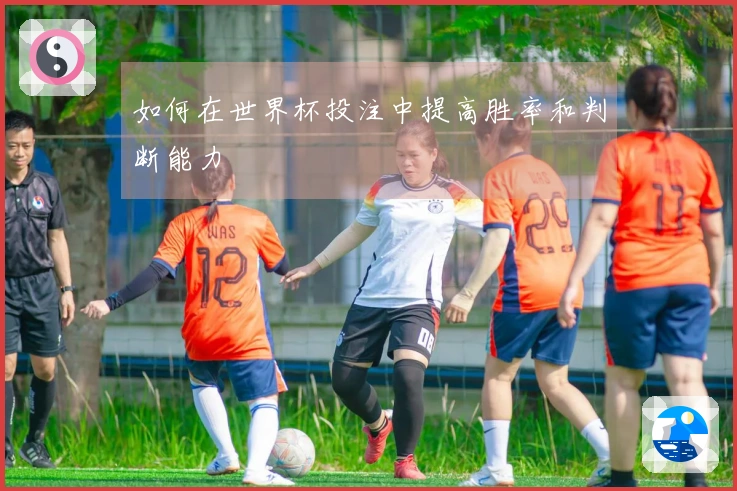 如何在世界杯投注中提高胜率和判断能力