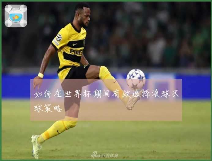 如何在世界杯期间有效选择滚球买球策略