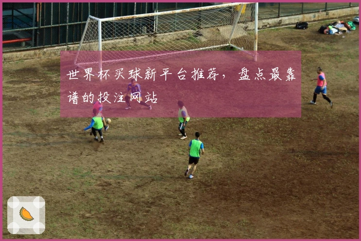 世界杯买球新平台推荐，盘点最靠谱的投注网站